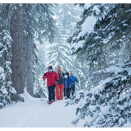 Le Pralin - Meribel-mottaret * Les Allues